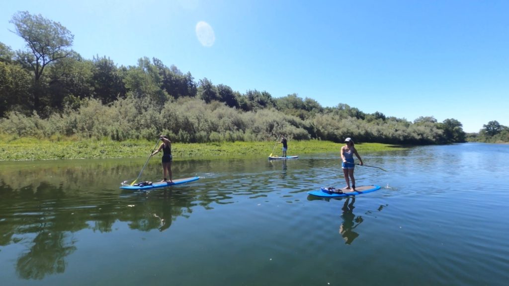 Paddle boarding on Russian River
