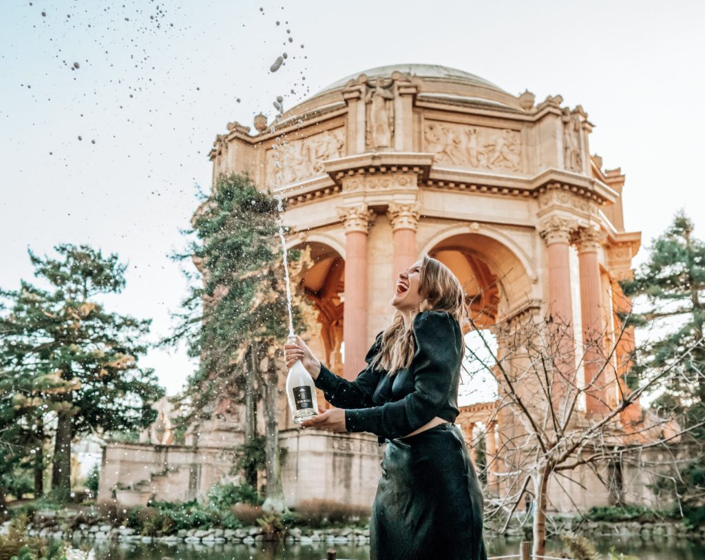 Sparkling wine under $20